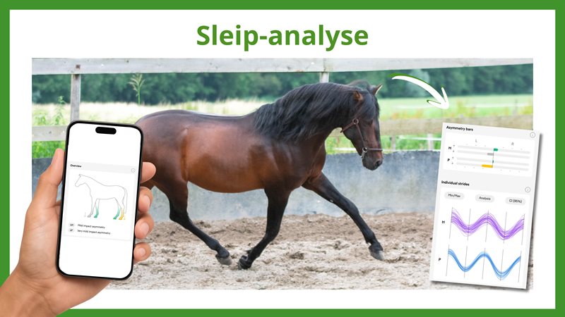 Sleip-analyse: objectieve bewegingsanalyse bij paarden